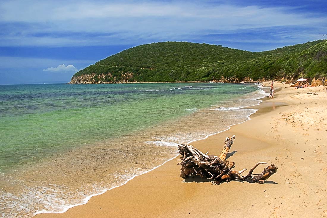 cala violina 14698772 2721276776